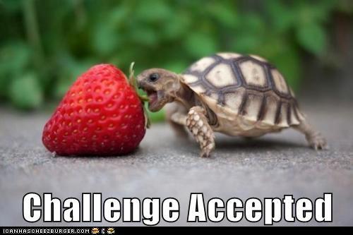 meme-ca-turtlestrawberry