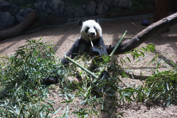 Zoo4