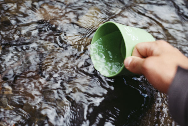 cup